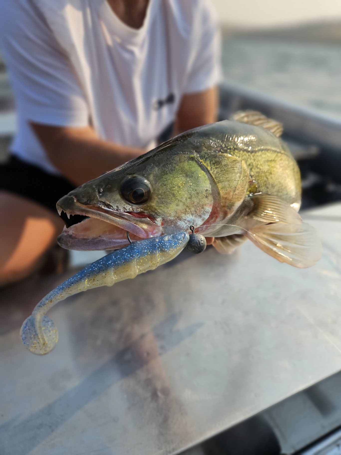 Zander angeln Orellana Stausee