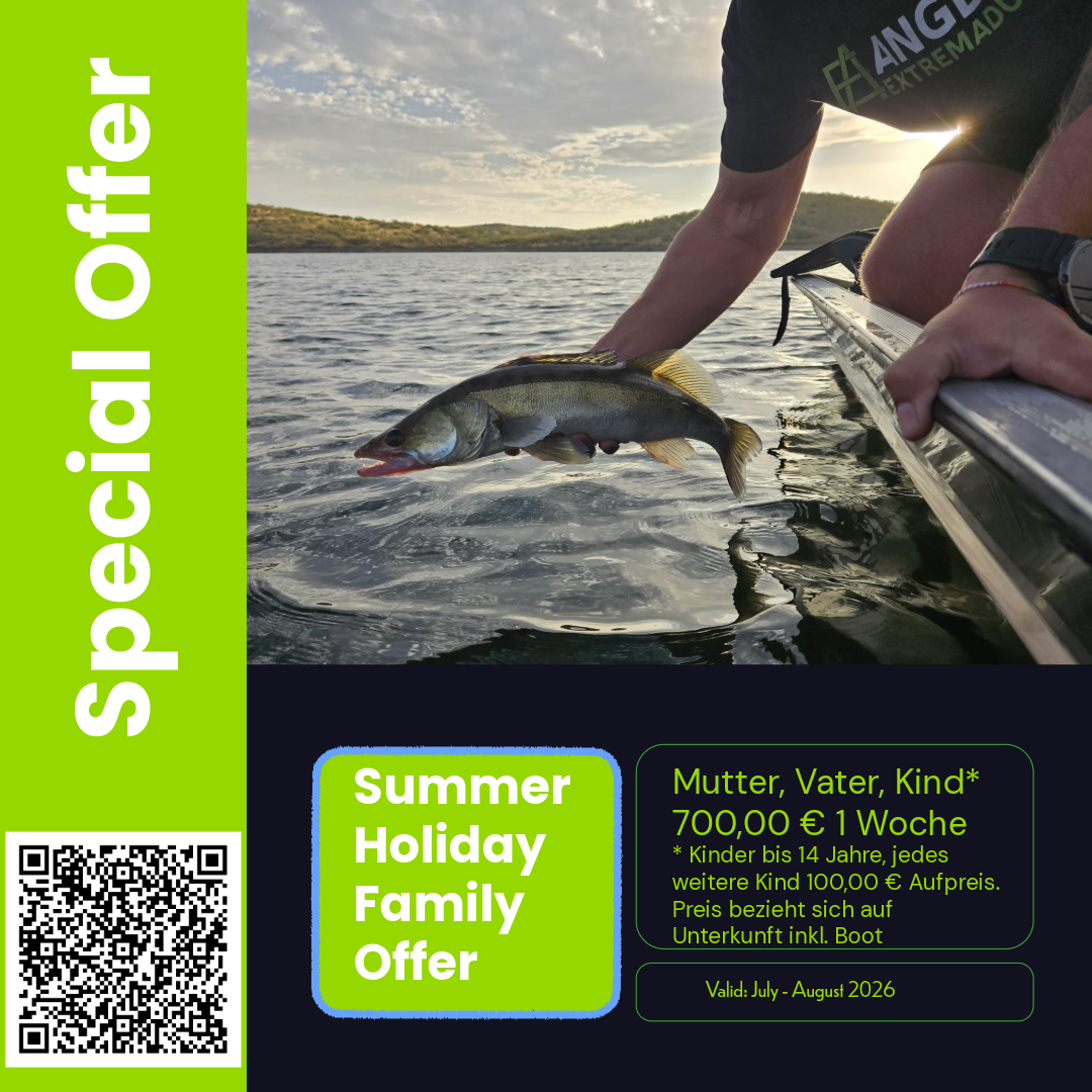 Zander angeln Orellana